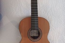 Guitarra José Torres JTC 50 - Imagen