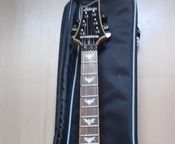 Eschecter Guitar
 - Image