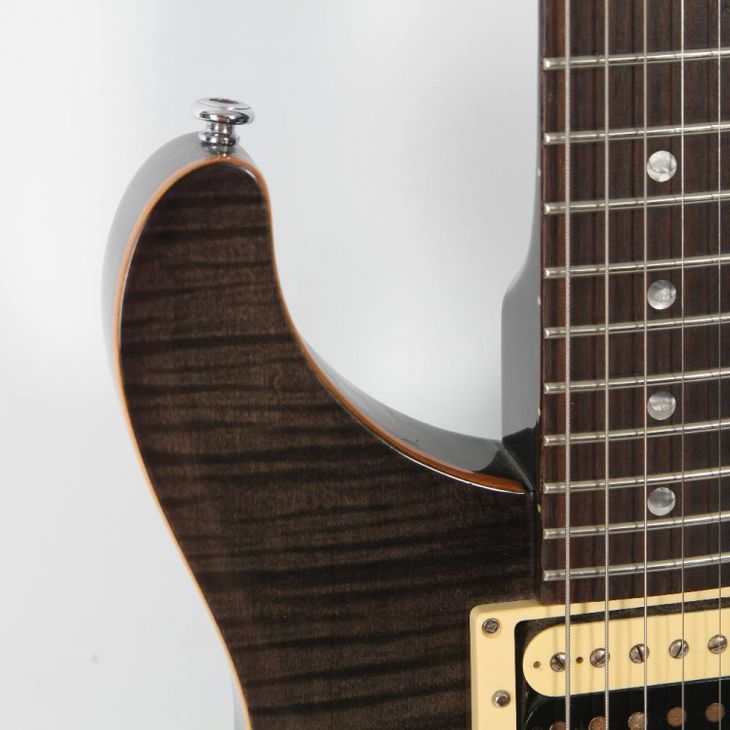 Guitarra eléctrica PRS Se Custom 22 - Image6