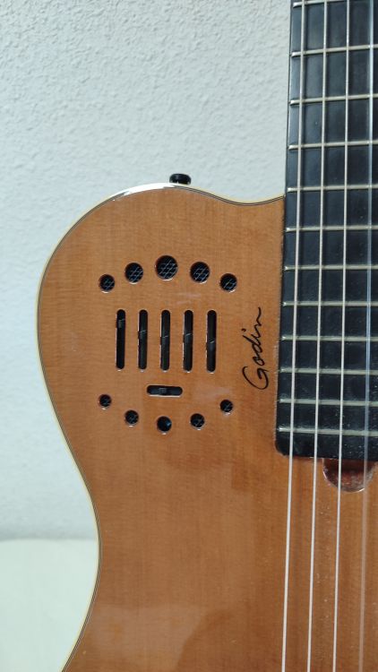 Guitarra Godin Grand Concert Duet Ambiace - Imagen por defecto