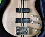 electric bass ********* a.4.
 - Image