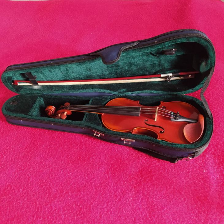 Geige Eschini Espresivo - Bild2