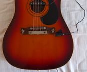 Klira Red River 12-saitige Gitarre
 - Bild