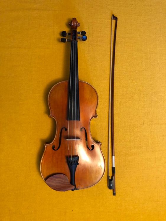 Viola 39,5 cm - Imagen por defecto