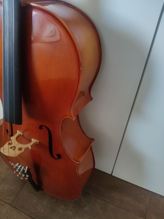 Panpi Violoncello - Bild4