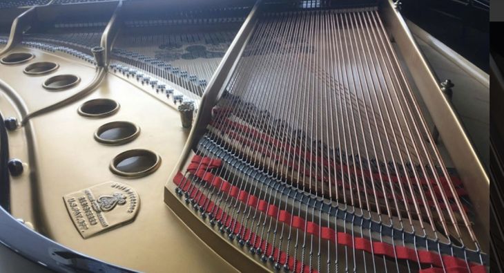 Steinway & Sons piano de cola 170 Modelo M 268657 - Immagine4