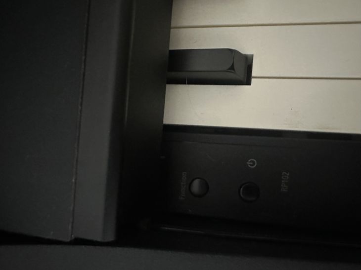 Roland RP102 - Bild3