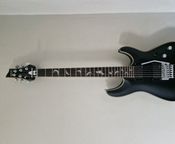 Schecter Damien Platinum 6 FR
 - Bild