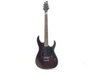 SGR Schecter Banshee-6 FR
 - Bild