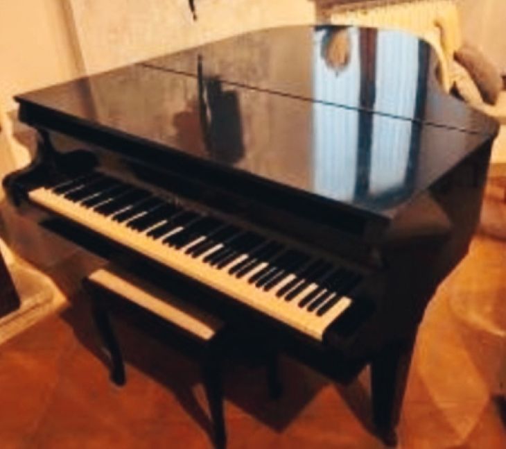 Vendo Pianoforte Marca Sholze mezza coda - Imagen por defecto