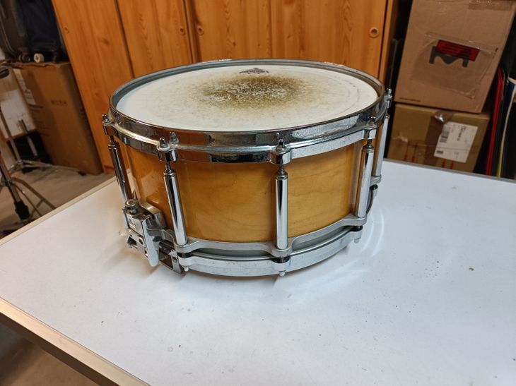 Caja Pearl 14" All Maple Shell (Free Floating) - Image4