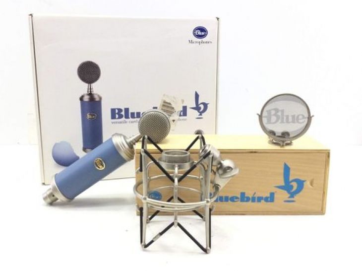 Blue Bluebird - Main listing image