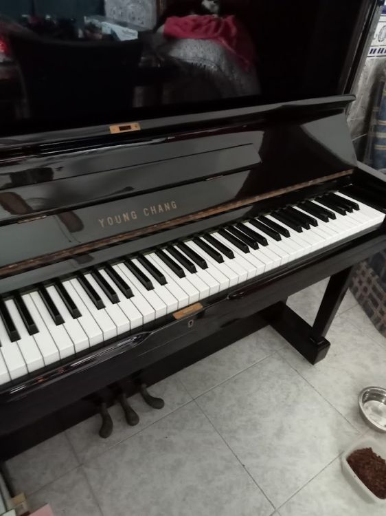 SE VENDE PIANO VERTICAL YOUNG CHANG - Immagine2