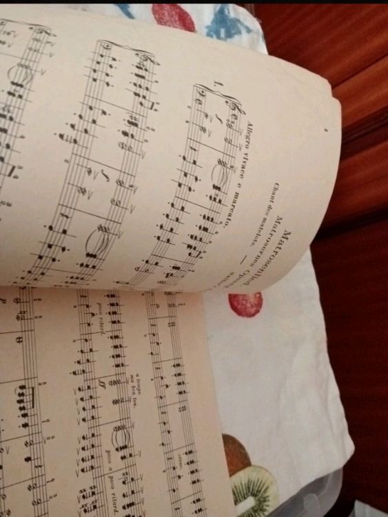 Antigua partitura Grieg, Helft. IX/opus 68, - Imagen5