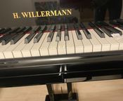 PIANO À QUEUE NOIRE WILLERMANN
 - Image