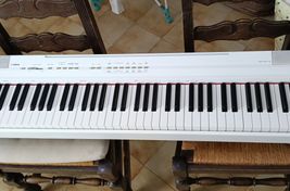 Piano numérique P105 - Imagen