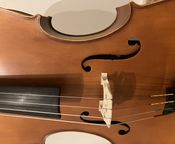 Sandner 4/4 cello from 10 years ago
 - Image