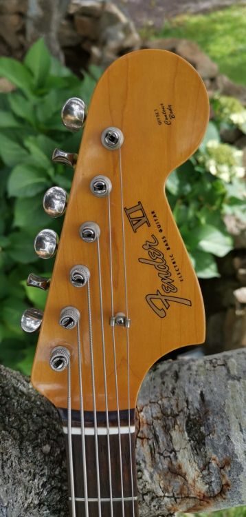 Fender - Bass VI - 1967 - Bild3