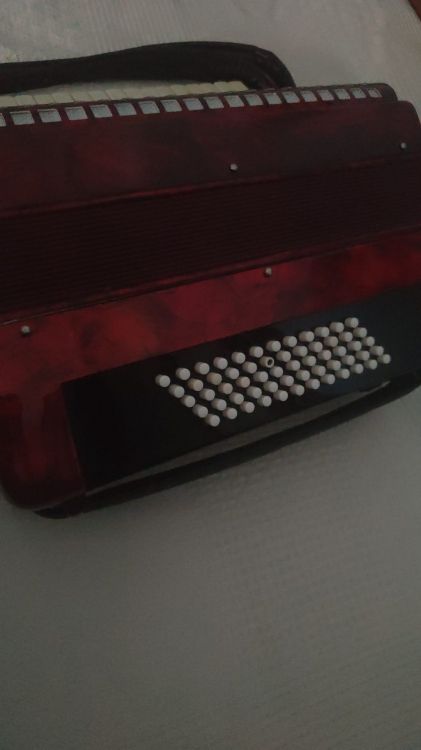 Acordeón teclado 60 bajos - Image2
