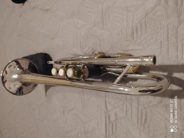 Cornetta YORK BARONETTE IN sib - Image2