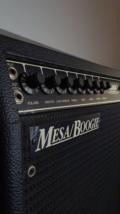 Mesa Boogie Studio 22+ (1987 y 16,8 kg) - Immagine2
