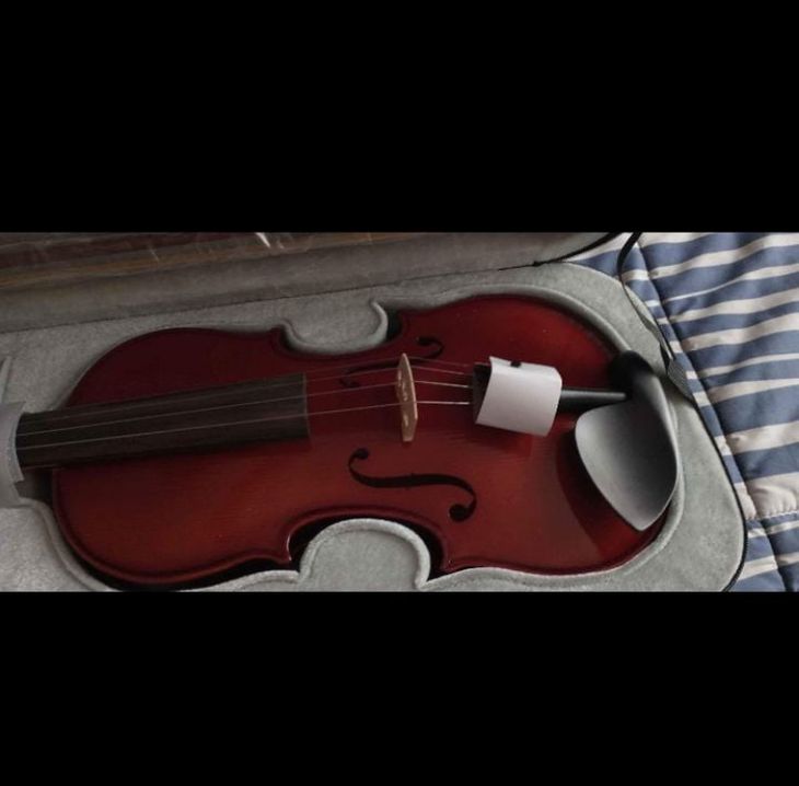 Violin Gewa 4/4 - Imagen3