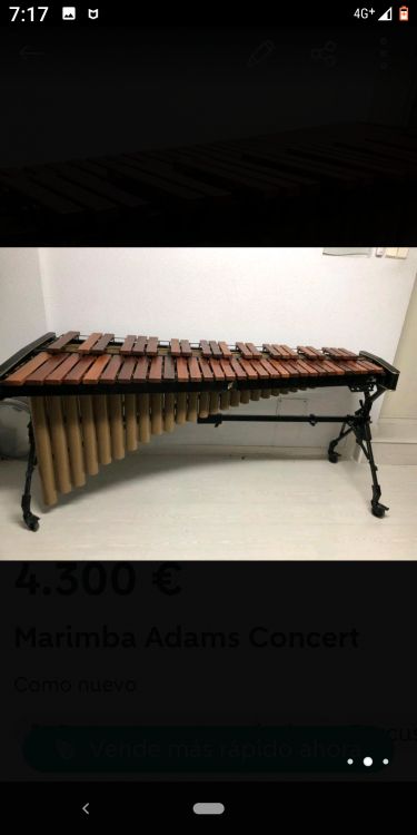 Marimba Adams concert - Immagine2