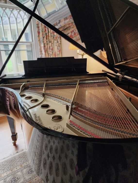 Steinway and sons model M 5’7” - Immagine4