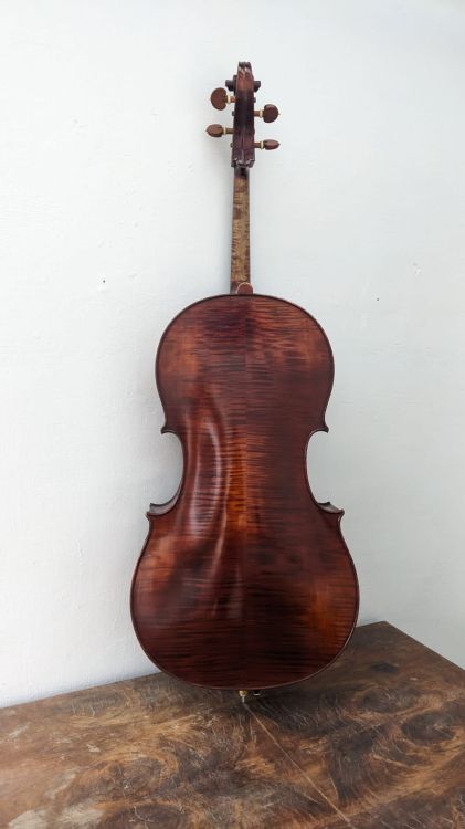 Violonchelo 4/4 - Immagine3