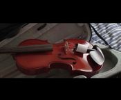 Violine Gewa 4/4
 - Bild