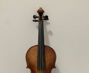 Violine 4/4 Gitarrenbauer
 - Bild