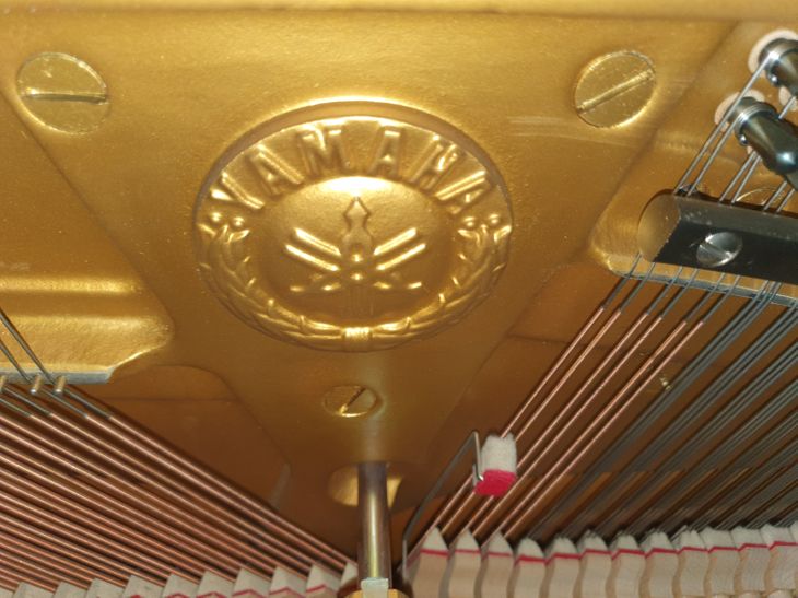 Piano U3 - Image4