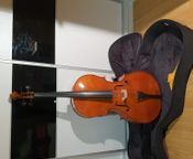 Karl Höfner H4/2-C4/4 German Cello for Sale
 - Image