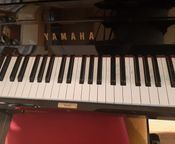 Piano Yamaha U1 negotiable
 - Image