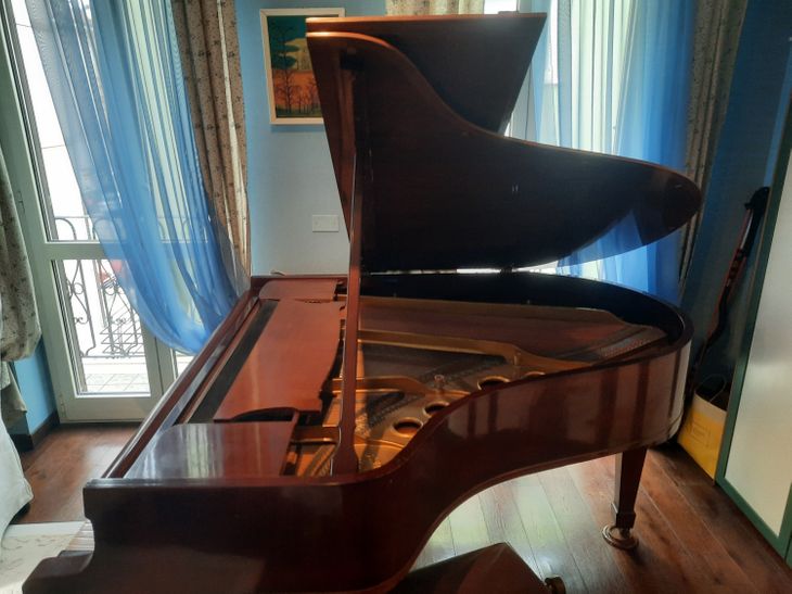 Pianoforte a coda Steinway & Sons modello O - Imagen por defecto