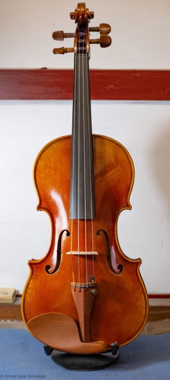 Violin Heritage - Imagen por defecto