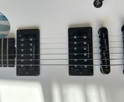 Charvel Joe Duplantier (Gojira)
 - Immagine