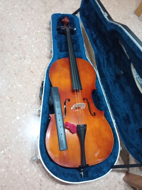 Violoncello 4/4 Carlo Giordano 90w  seminuevo - Imagen por defecto