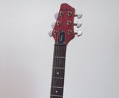 Eingestellte Washburn Signature E-Gitarre
 - Bild