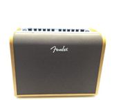 Fender Acoustic 100
 - Bild