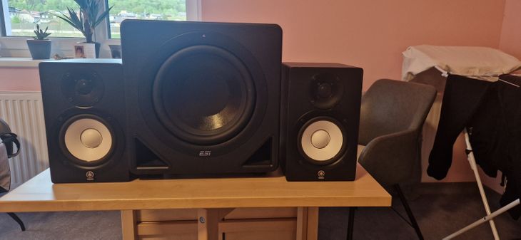 ESI Aktiv 10s Subwoofer - Bild2