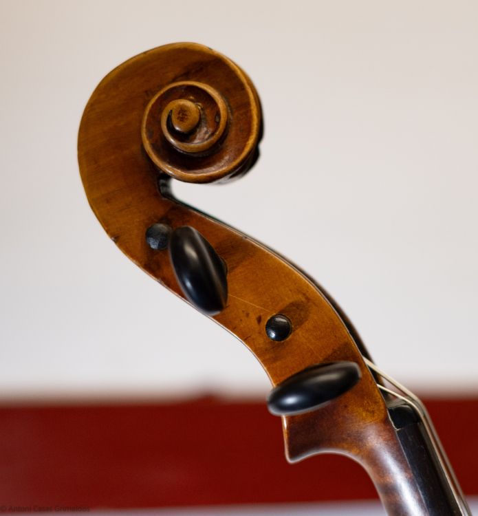 Violin 4/4 - Imagen2