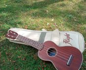 Soprano ukulele solid mahogany Flight MUS 2
 - Image
