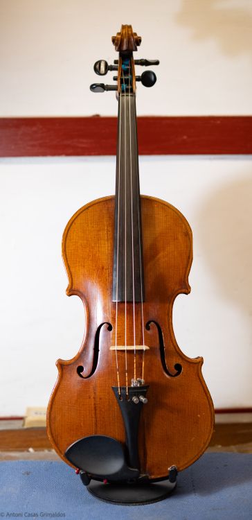 Violin 4/4 - Imagen por defecto