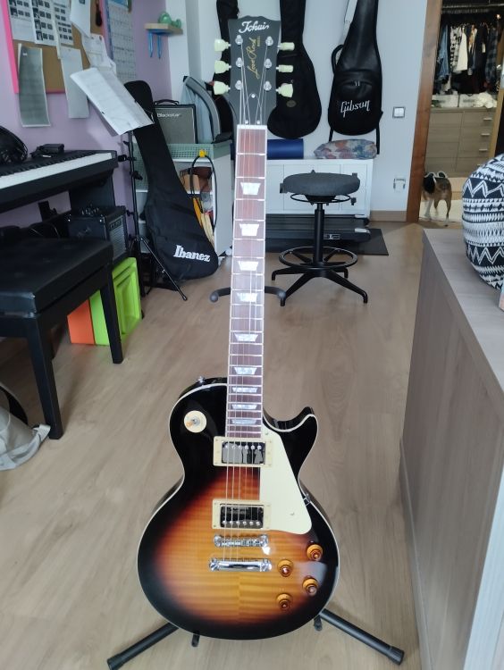 Tokai ALS 68 SB pastillas Tonerider - Imagen por defecto