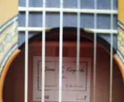 Chitarra Flamenco Mod.42 Juan Luis Cayuela
 - Immagine