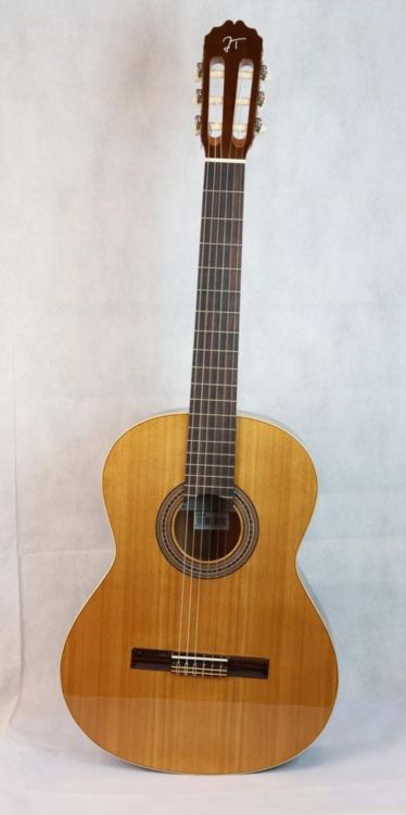 OPORTUNIDAD!! Guitarra Jose Torres JTC-5 - Imagen6