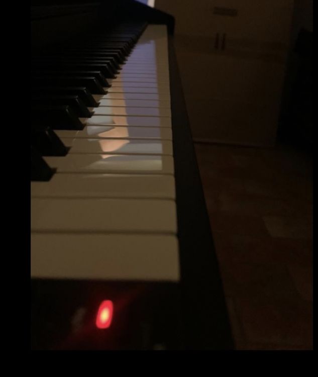 Pianoforte - Image2