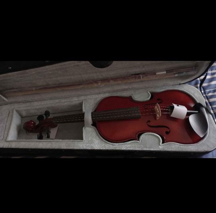 Violin Gewa 4/4 - Imagen4