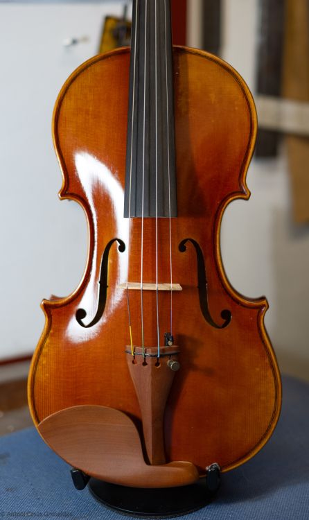 Violin Heritage - Imagen3